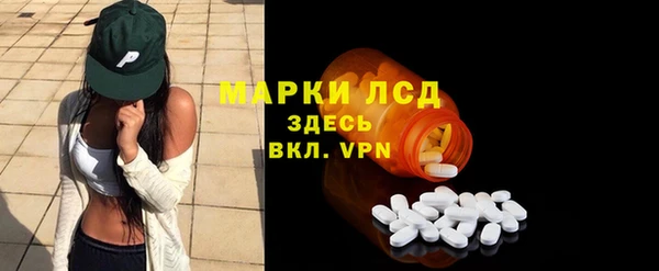 индика Аша