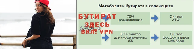 гидра Наволоки