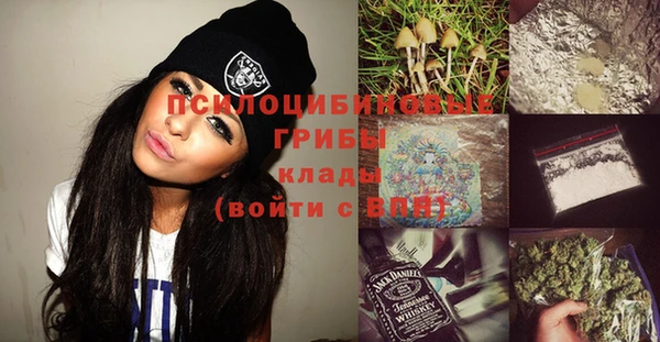 индика Аша