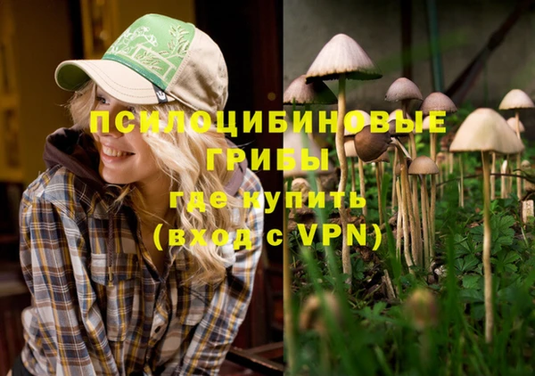 гидра Наволоки