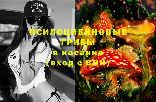 гидра Наволоки